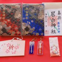 Recommended Suppliers and Local Colleagues