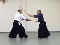 The Gogyo no Kata